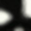 Black and White-swatch